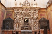 IMG_0682