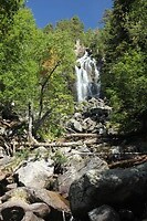 IMG_1448