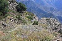 IMG_1477