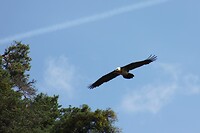 IMG_1488