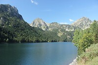 IMG_1446