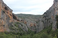 IMG_1516