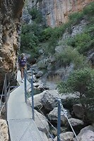 IMG_1549