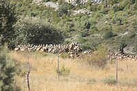 IMG_1611