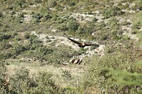 IMG_1642