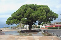 IMG_2074