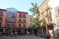 IMG_2093