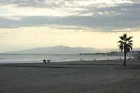 IMG_2108