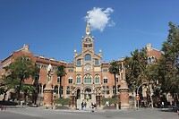 IMG_2310