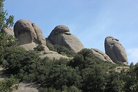 IMG_2373