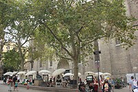 IMG_2161