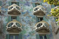 IMG_2194