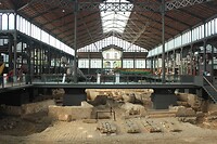 IMG_2249