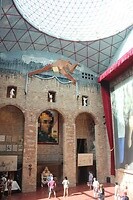 IMG_2449