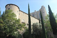 IMG_2521