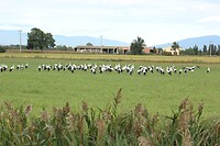 IMG_2564