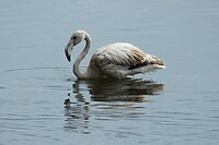 IMG_2606