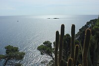 IMG_2620