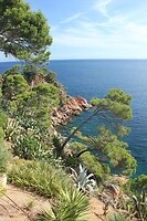IMG_2621