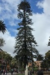 IMG_2705