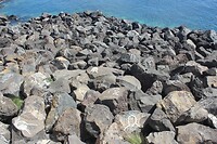 IMG_2726