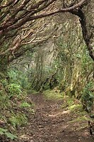 IMG_2776