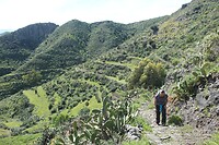 IMG_2800