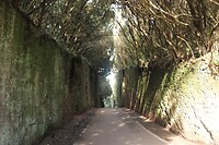 IMG_2806