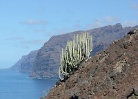 IMG_2812
