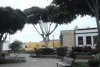 IMG_2829