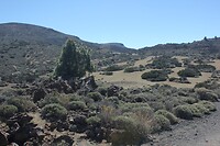 IMG_2847