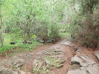 IMG_1990