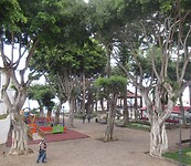 IMG_2017