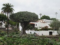 IMG_2030