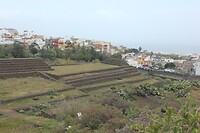 IMG_3001