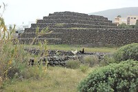 IMG_3013