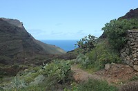 IMG_3057