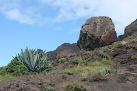 IMG_3074