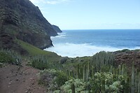 IMG_3091