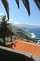 IMG_3121