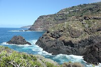 IMG_3142