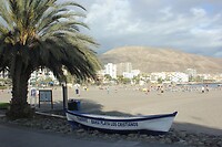 IMG_3169