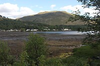 IMG_3421