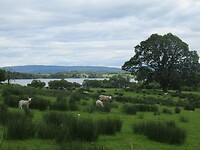 IMG_2098