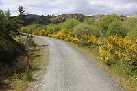 IMG_3442