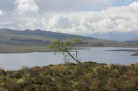 IMG_3501