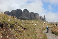 IMG_3504