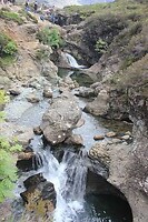 IMG_3563