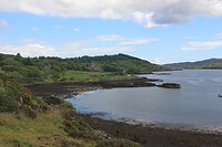 IMG_3581