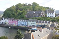 IMG_3595
